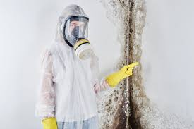 Why You Should Choose Our Mold Remediation Services in Woodlawn Beach, FL